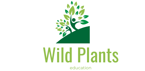 wildplants.education