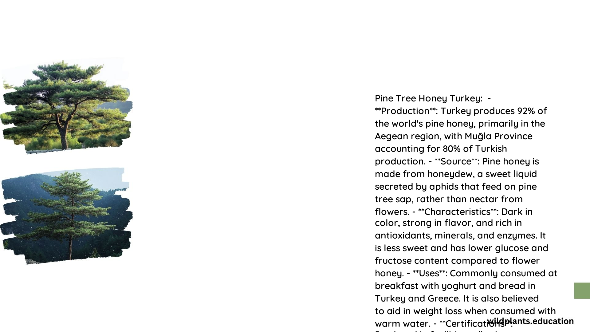 Pine Tree Honey Turkey